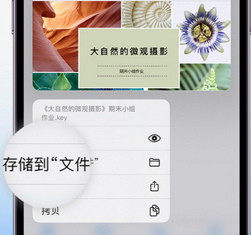 肃南apple维修中心分享iPhone文件应用中存储和找到下载文件