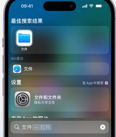 肃南apple维修中心分享iPhone文件应用中存储和找到下载文件 