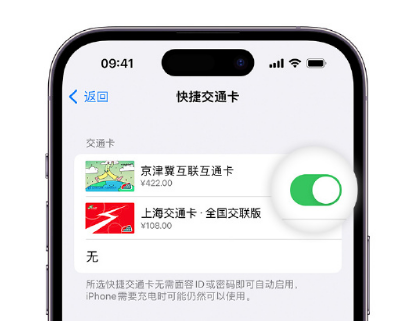 肃南apple维修点分享iPhone上更换Apple Pay快捷交通卡手绘卡面 