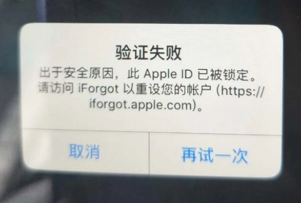 肃南iPhone维修分享iPhone上正常登录或使用AppleID怎么办 