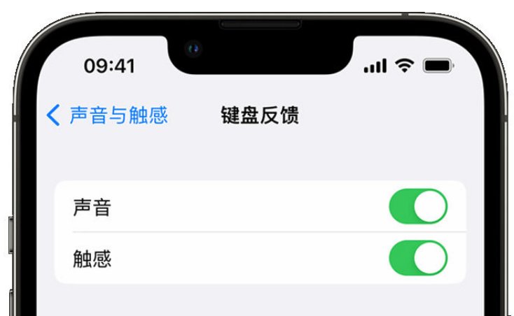 肃南苹果手机维修分享iPhone 14触感键盘使用方法 