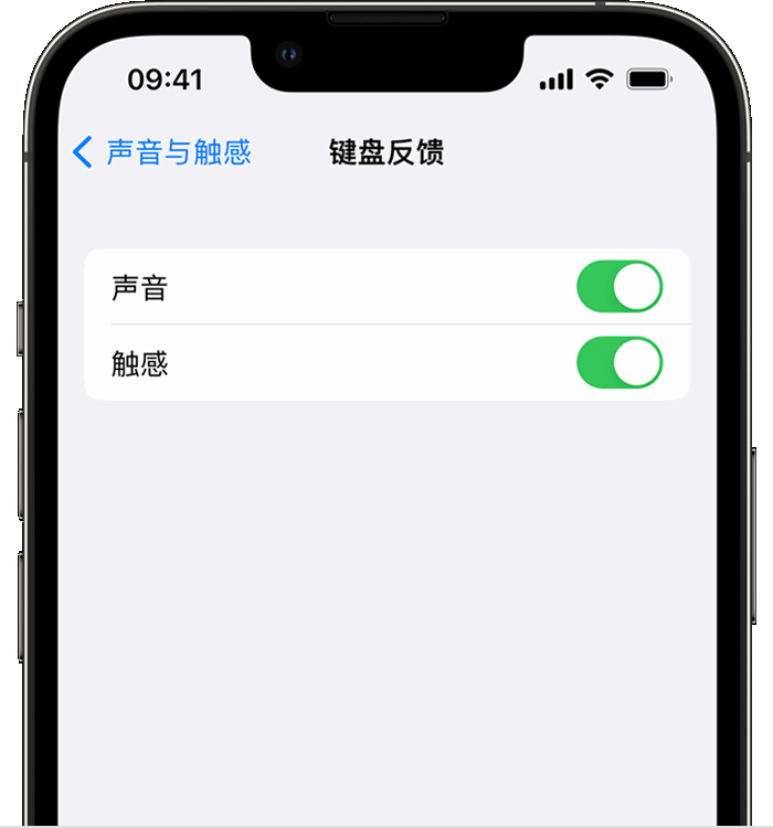 肃南苹果14维修店分享如何在 iPhone 14 机型中使用触感键盘 