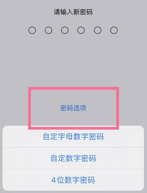 肃南苹果14维修分享iPhone 14plus设置密码的方法 