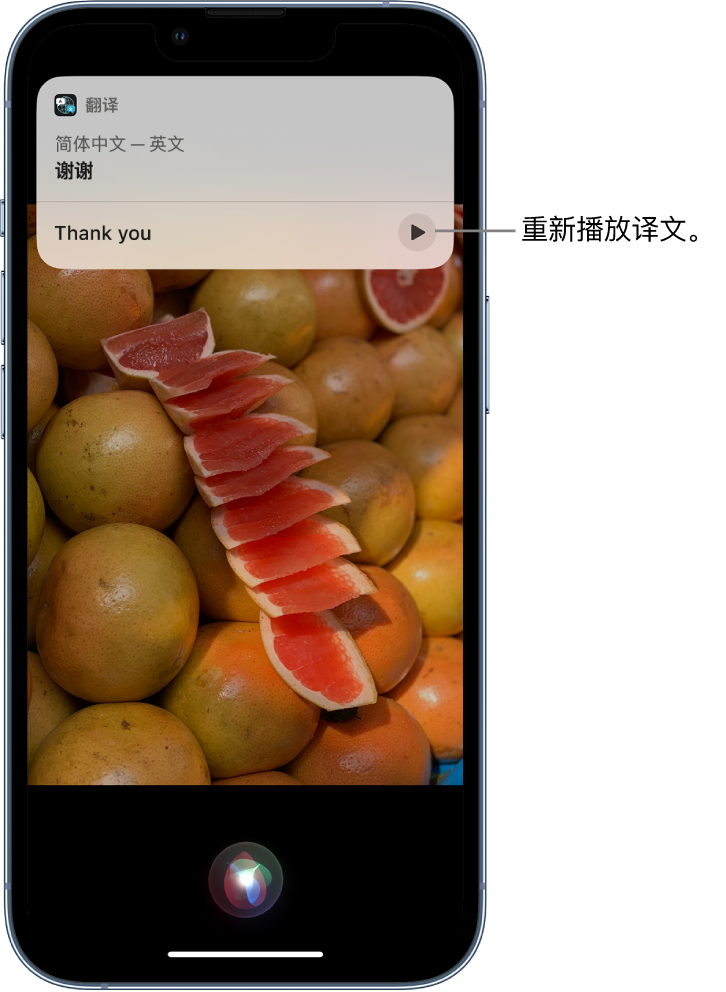 肃南苹果14维修分享 iPhone 14 机型中使用 Siri：了解 Siri 能帮你做什么 