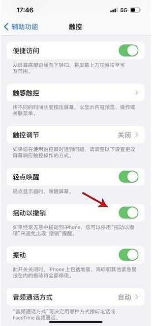 肃南苹果手机维修分享iPhone手机如何设置摇一摇删除文字 